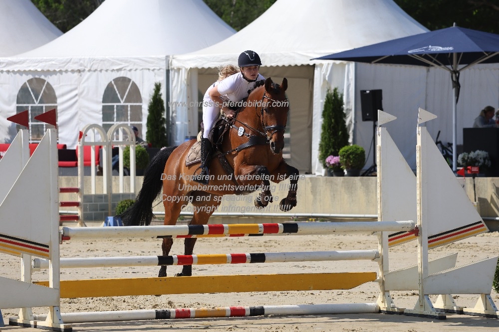 Preview finja koenemann mit horse gym s la carlita IMG_1025.jpg